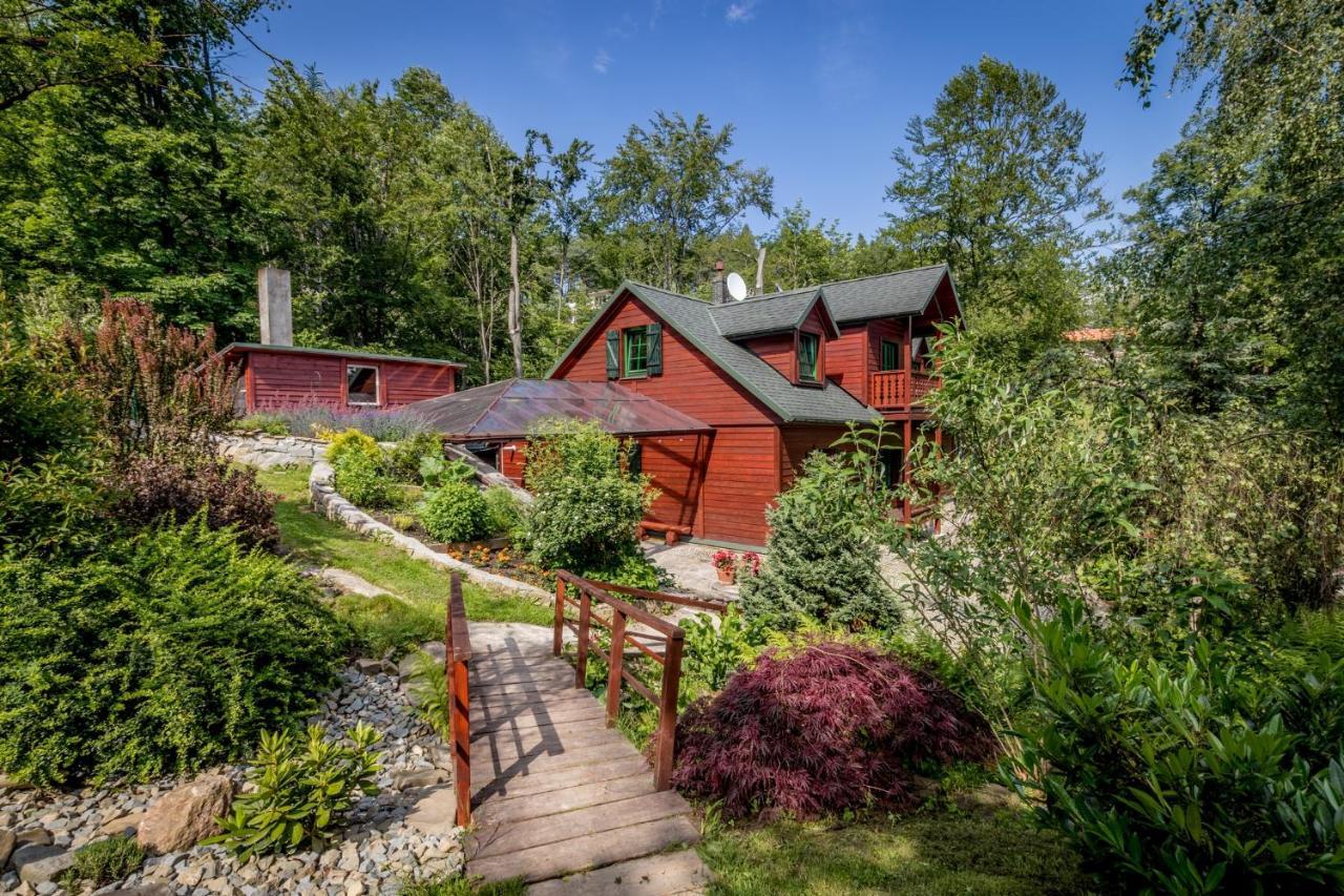 Villa Bukowy Zdroj Krynica-Zdrój Exterior foto