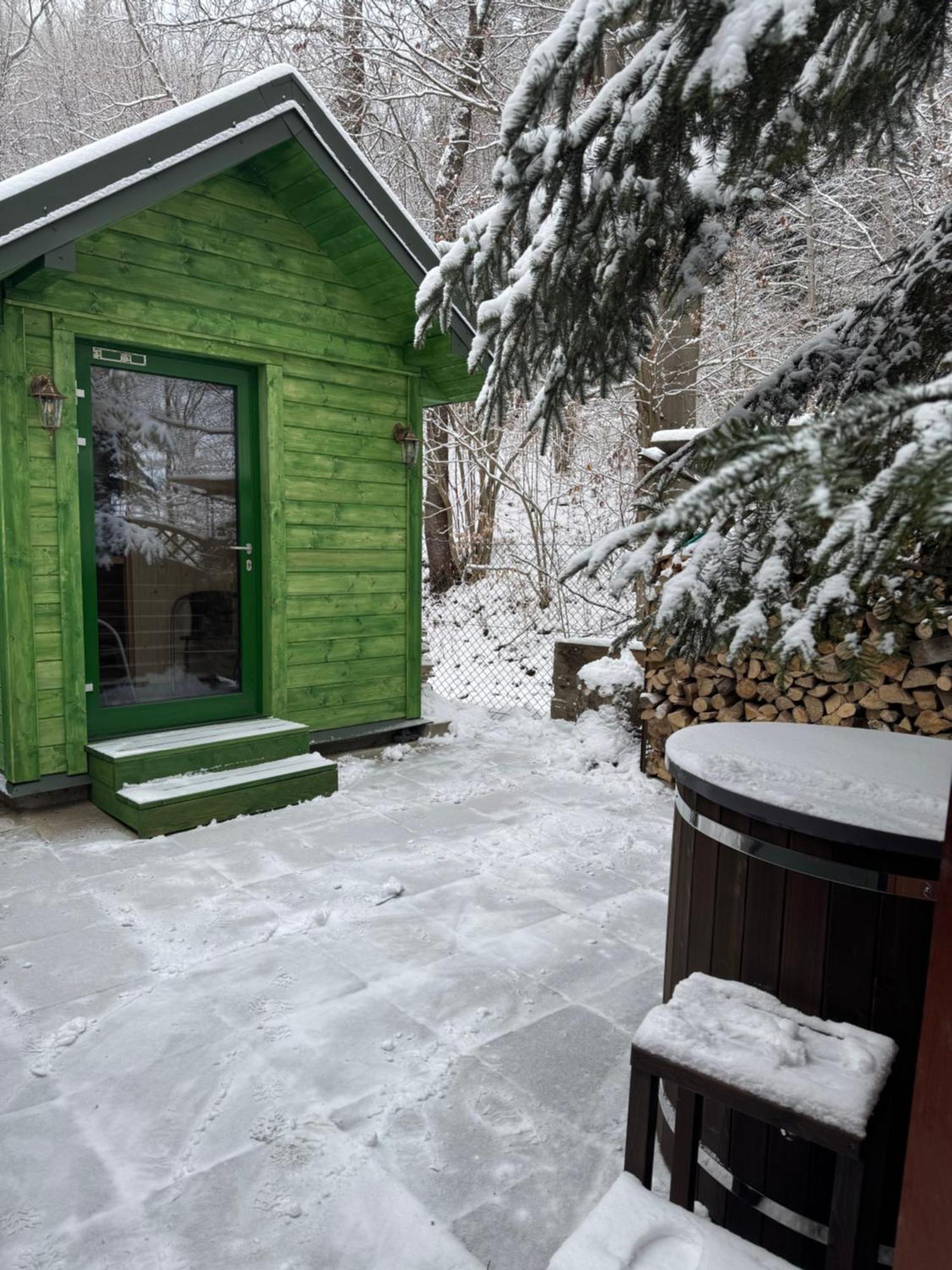 Villa Bukowy Zdroj Krynica-Zdrój Exterior foto