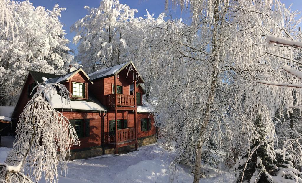 Villa Bukowy Zdroj Krynica-Zdrój Exterior foto